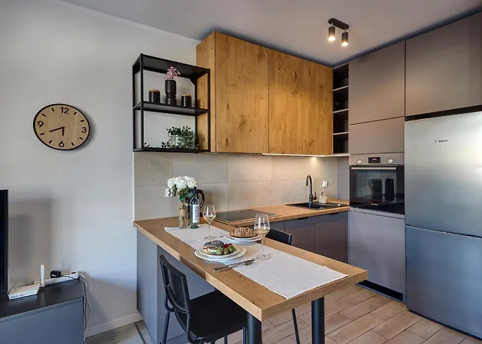 - Center - Cozy One Bedroom - O10 דירה קטוביץ