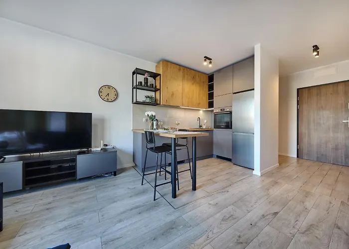 - Center - Cozy One Bedroom - O10 דירה קטוביץ